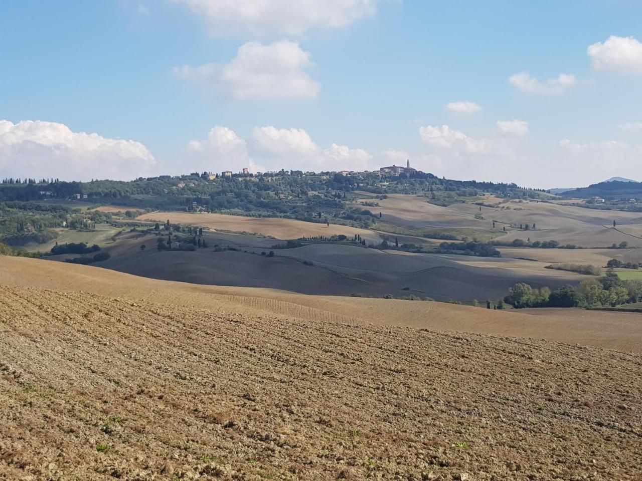 B&B Il Glicine Montefollonico Buitenkant foto