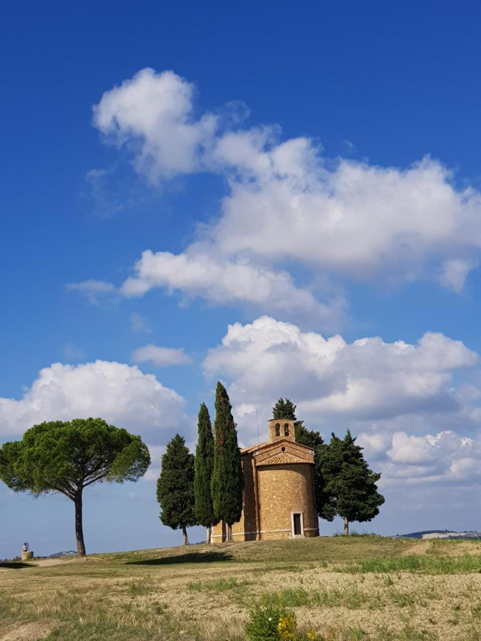B&B Il Glicine Montefollonico Buitenkant foto