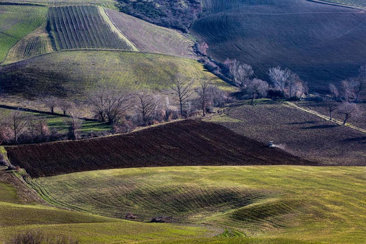 B&B Il Glicine Montefollonico Buitenkant foto