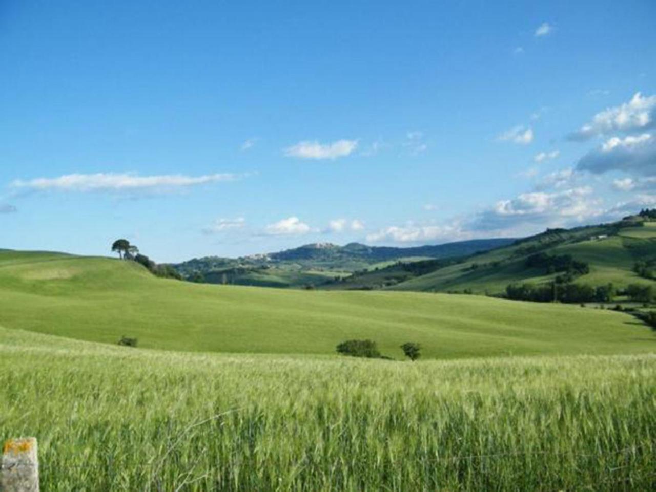 B&B Il Glicine Montefollonico Buitenkant foto