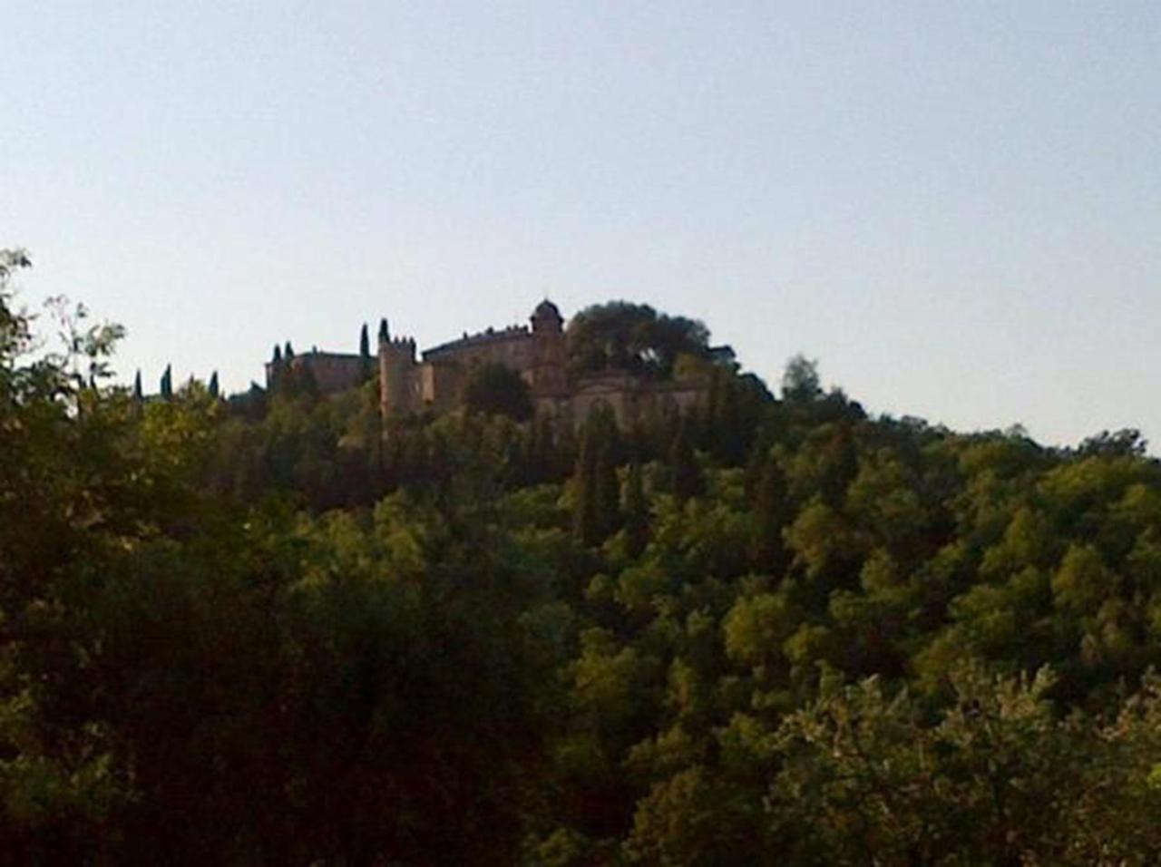 B&B Il Glicine Montefollonico Buitenkant foto
