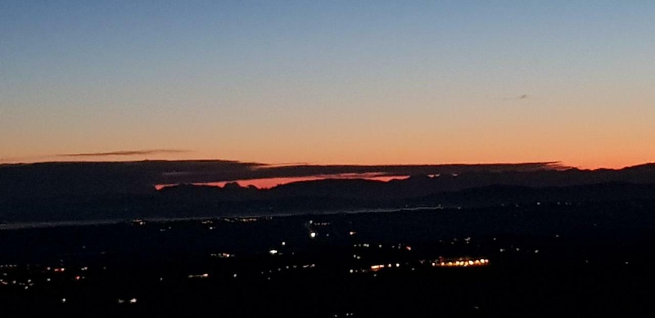 B&B Il Glicine Montefollonico Buitenkant foto